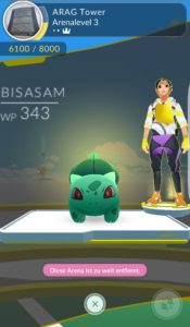 Die Arena