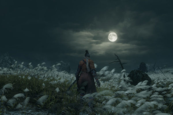 Sekiro: Shadows Die Twice